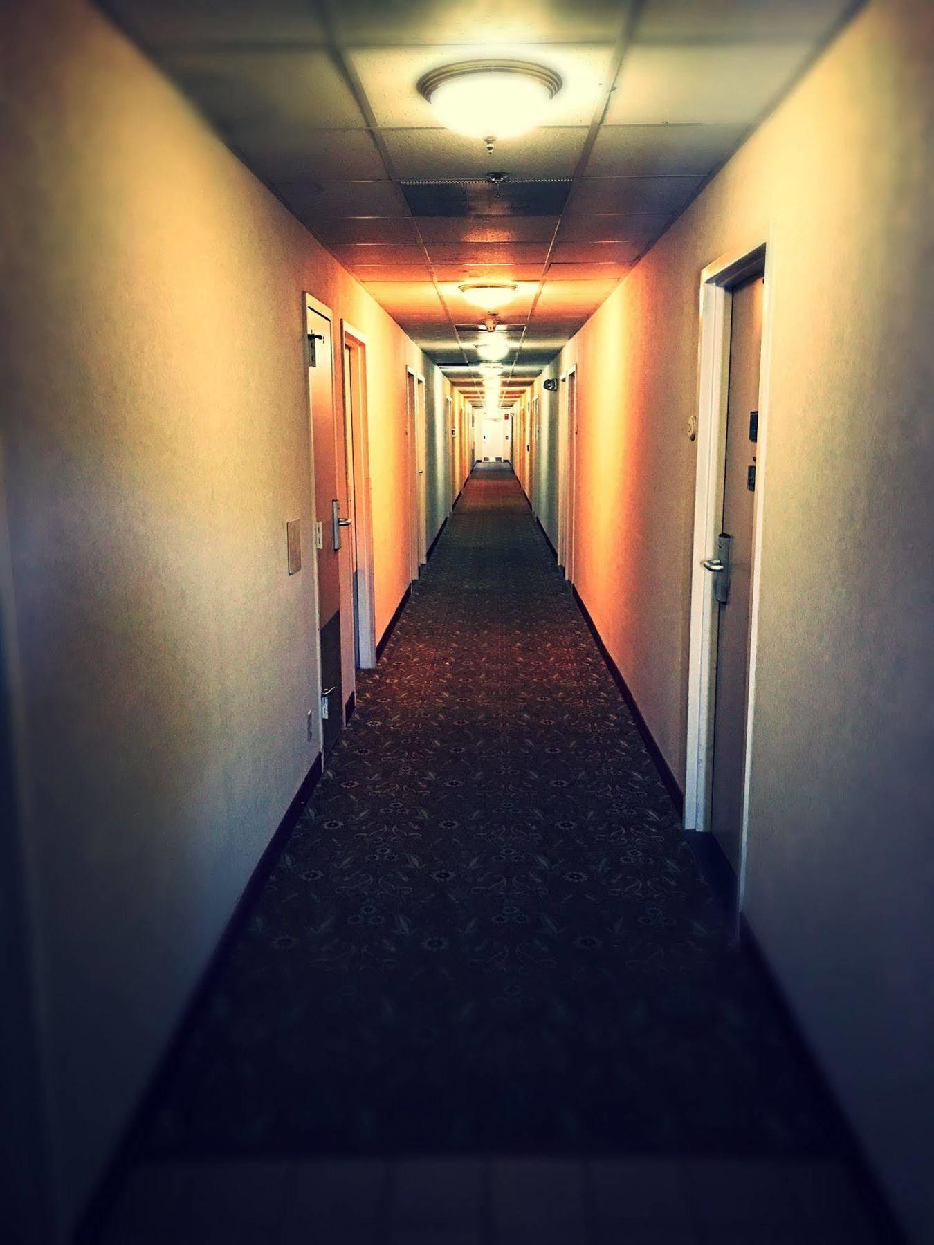 Hotel Super 8 By Wyndham Madison East Esterno foto